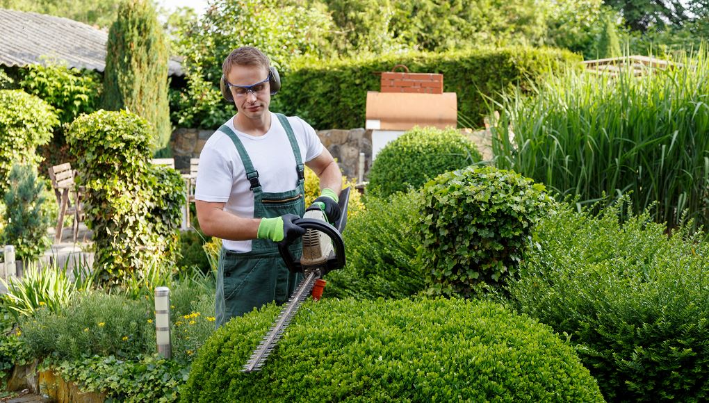 Offre d'emploi jardinier